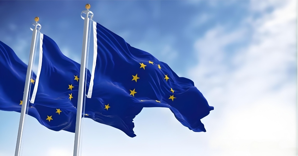 Vorlage zur PMS-Datenerhebung in der EU