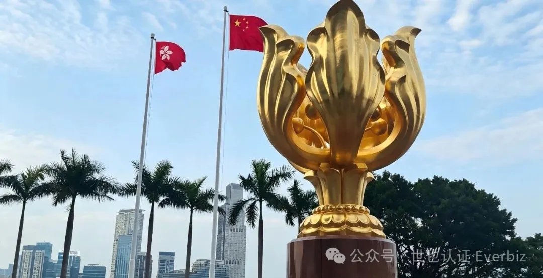 How Can Hong Kong and Macao Medical Devices Take the "Green Lane" into the Greater Bay Area? A Complete Guide to the GBA Connect Application Process – Figure 1