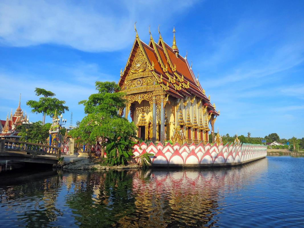 Bevollmächtigter in Thailand & Registrierung von Medizinprodukten