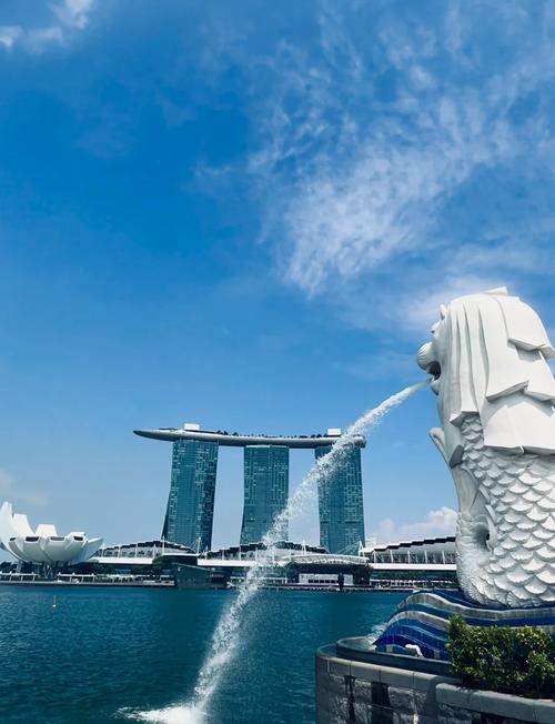 Bevollmächtigter in Singapur & Registrierung von Medizinprodukten