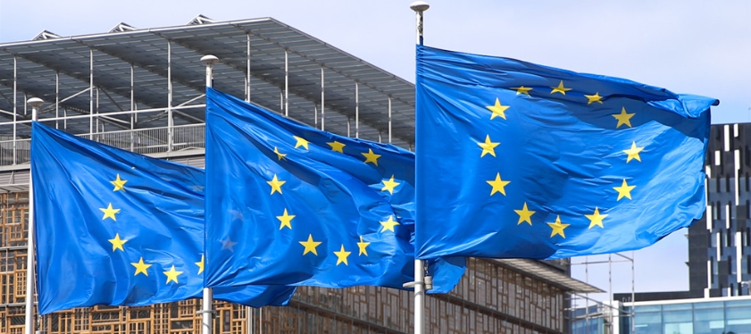 EU-MIR-Formular für Herstellervorkommnisberichte v7.3.1: Was ist neu?