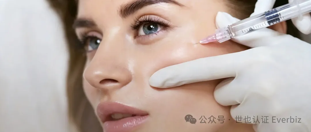 Hyaluronic Acid Fillers Going to Southeast Asia: Regulatory Focus Points and Document Checklist – Figure 1