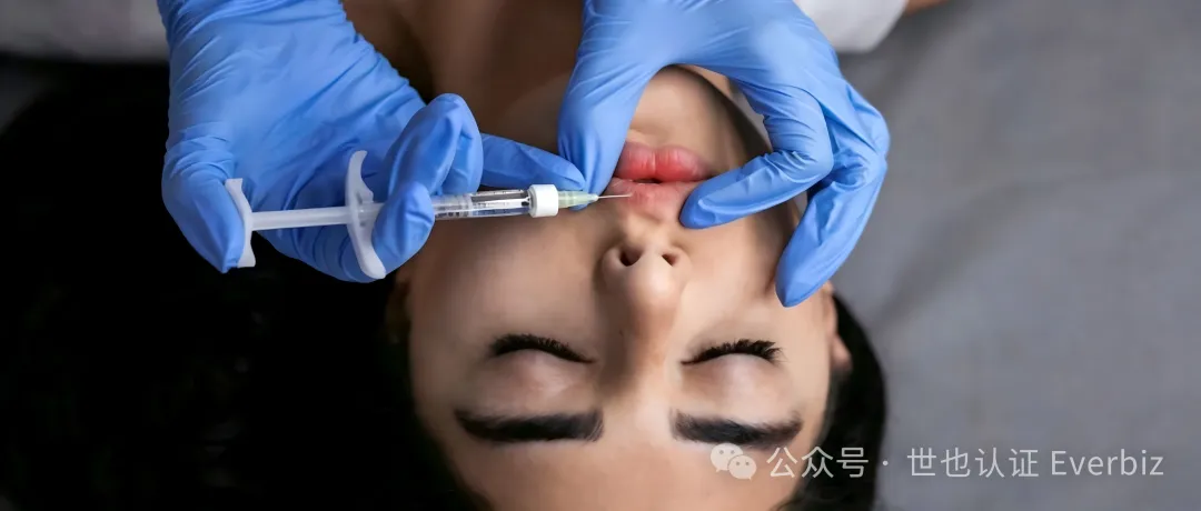 Hyaluronic Acid Fillers Going to Southeast Asia: Regulatory Focus Points and Document Checklist – Figure 3