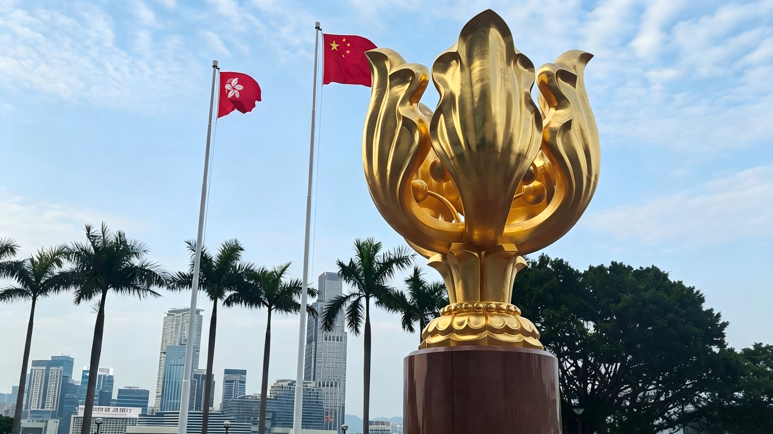 Wie gelangen Medizinprodukte aus Hongkong und Macau über die „grüne Spur“ in die Greater Bay Area? Vollständiger Leitfaden zum Antragsverfahren GBA Connect